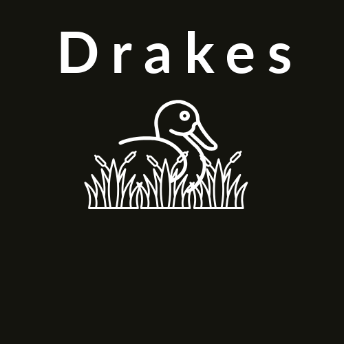 Drakes 